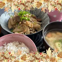 ごぼうと牛肉の炒め煮|いのっちさん