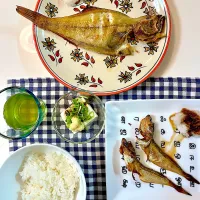 一夜干しのエテカレイてハタハタ🐟|リヒトさん