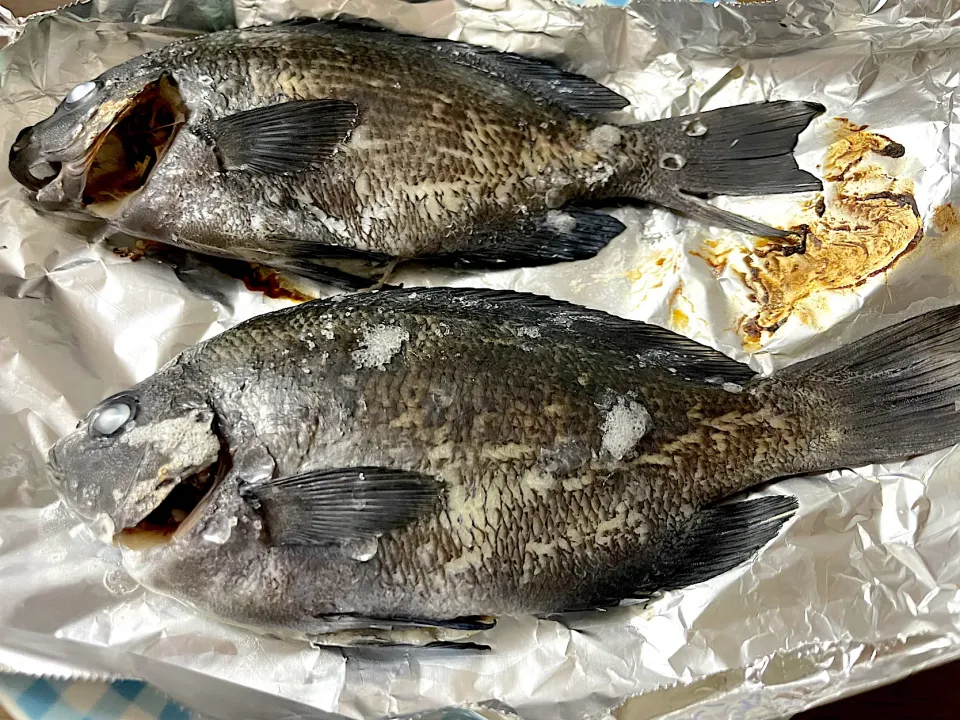 メジナ(グレ)の塩酒蒸し|くうちゃんさん