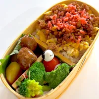 2025/11/18 豚挽肉甘辛煮弁当🍱|おもち女王さん