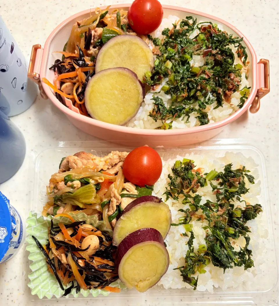 今日のお仕事&お籠もり弁当♪2025.11.18|ぐぅさん