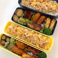 今日のお弁当🍱|Chikaーーさん