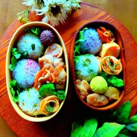 まん丸おにぎり弁当🍙|さらママさん