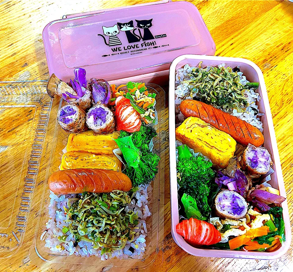 今日のお弁当|Daikiさん