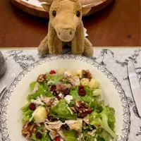 2025/11/17   クリーミーでないりんごのチキンサラダ（りんごの使い途を求めてPart 6）Chicken Salad with Apples
