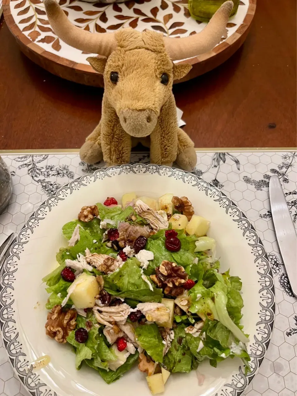 2025/11/17   クリーミーでないりんごのチキンサラダ（りんごの使い途を求めてPart 6）Chicken Salad with Apples|21 Boys & 野鳥さん