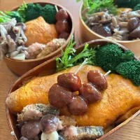 2025.11.18.🍱|chieeeeさん