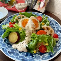 根菜noシーザー風サラダ～ケスクレームオリーブソース〜