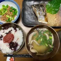 サゴシの塩焼き