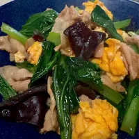 豚バラと小松菜キクラゲの塩炒め| Tommyさん