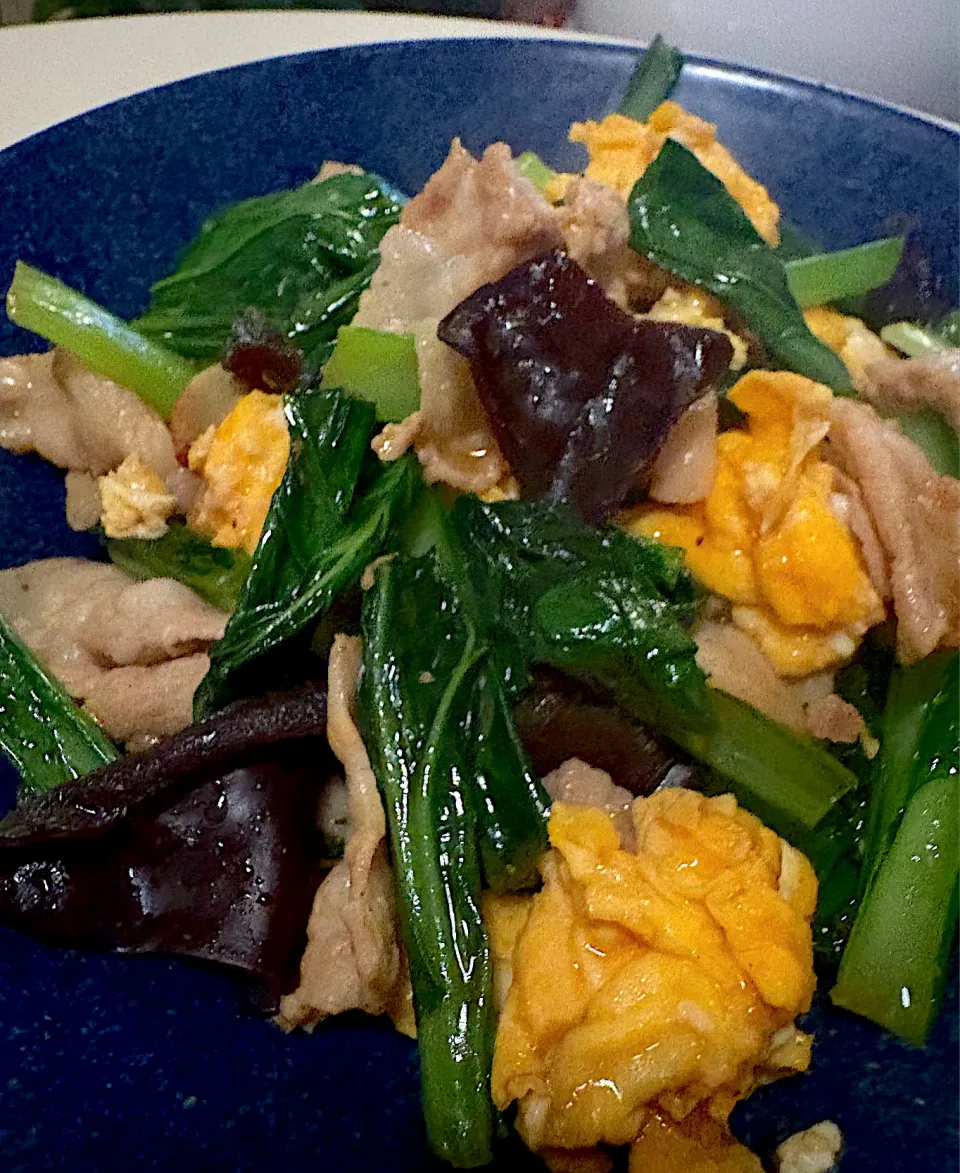 豚バラと小松菜キクラゲの塩炒め|Tommyさん