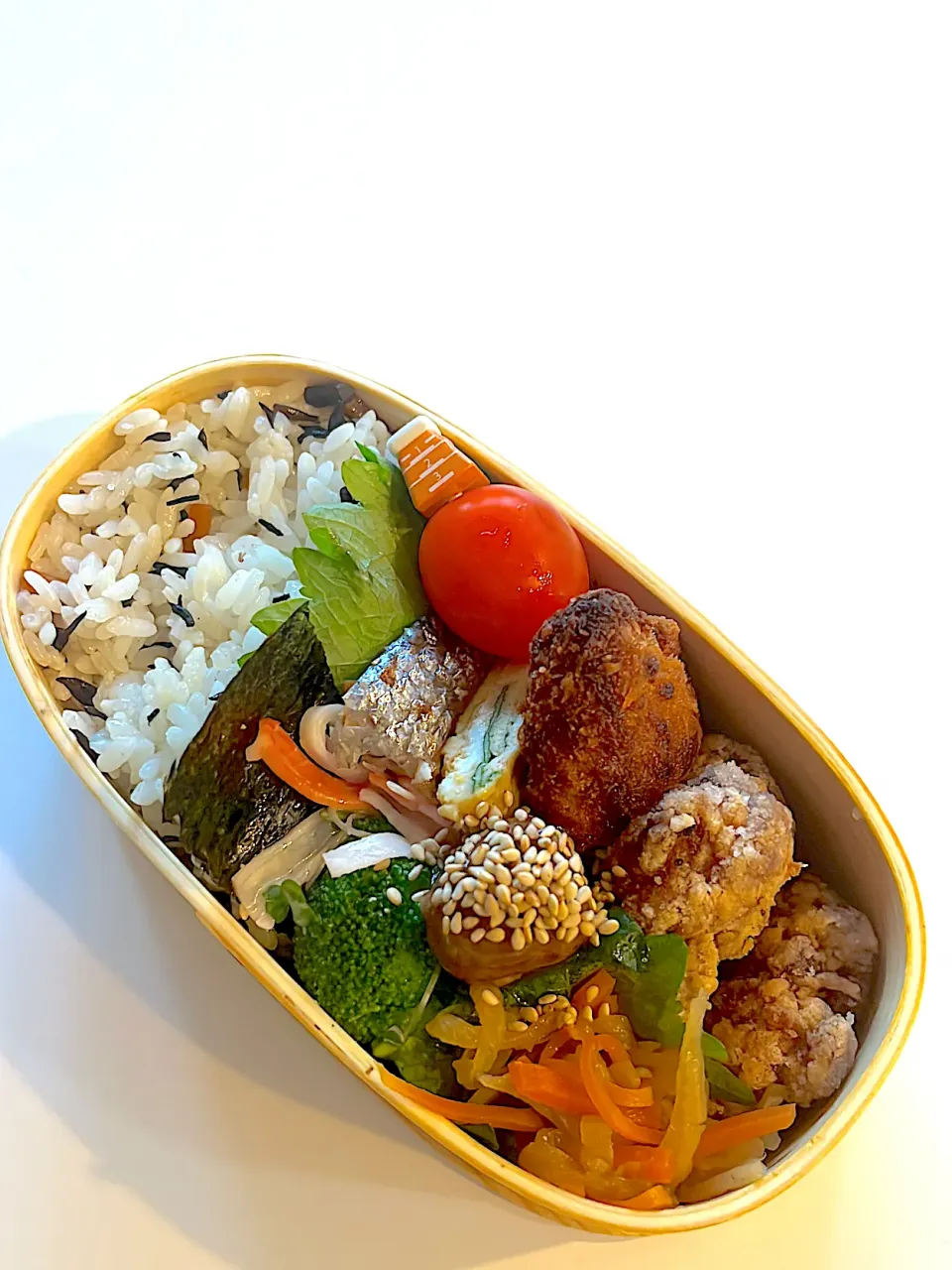 2025/11/19 揚げ物弁当🍱|おもち女王さん