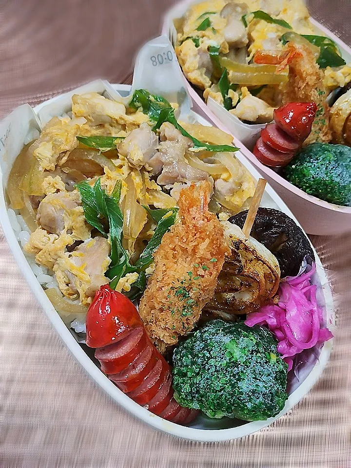 2025.11.19 #107|akiko.sさん