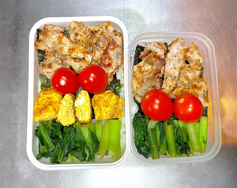 11/19  子の弁当&自分弁当|なかちゃんたまごさん