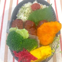 1119 黒酢肉団子 男子高校生弁当|Riieeさん