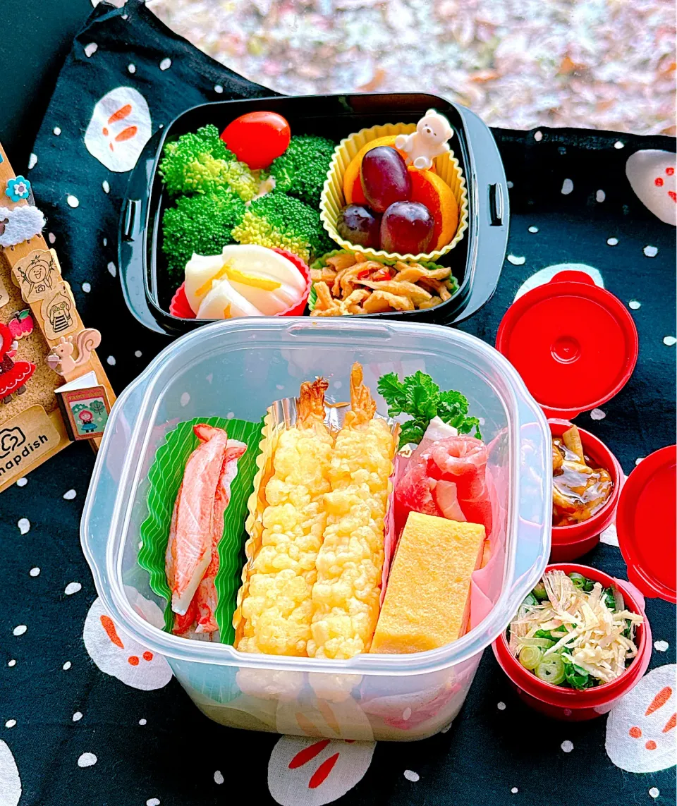 2025/11/19(水) 海老天うどん弁当|Blueberry🫐さん