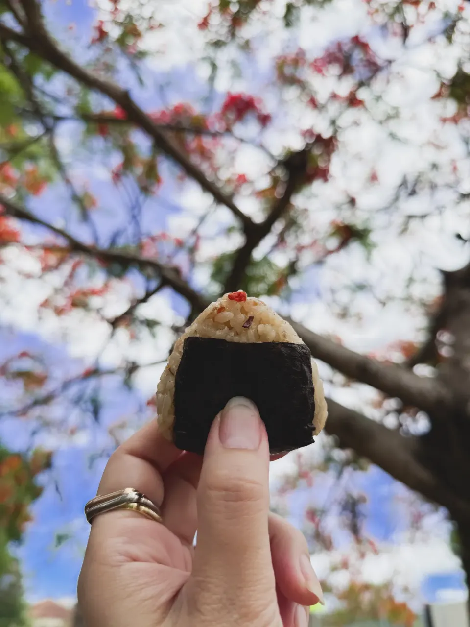 おにぎりアクション for JAPAN|sophia.kamさん