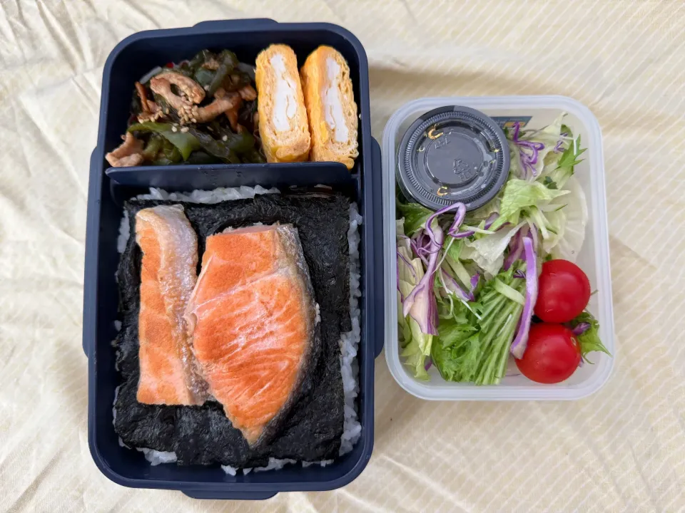 鮭海苔弁当|ヒグッチさん