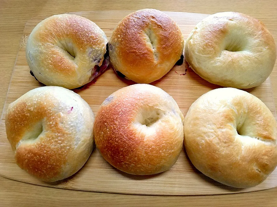 ブルーベリーベーグル🥯|山木屋さん