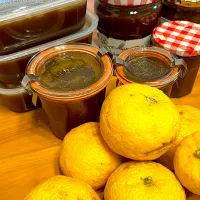 2025 11月19日　柚子味噌|あけみさん