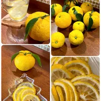 美味しい柚子🧡|きみちさん
