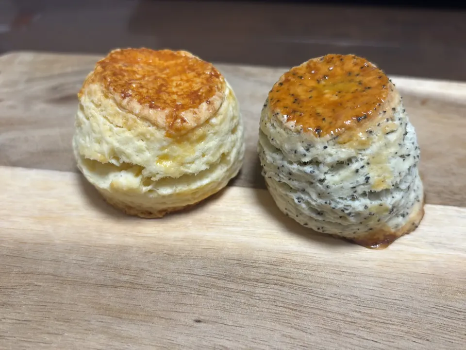 スコーン/紅茶スコーン|とらさん