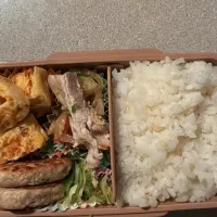 11月20日のお弁当|aoさん