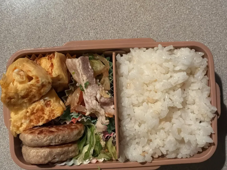 11月20日のお弁当|aoさん
