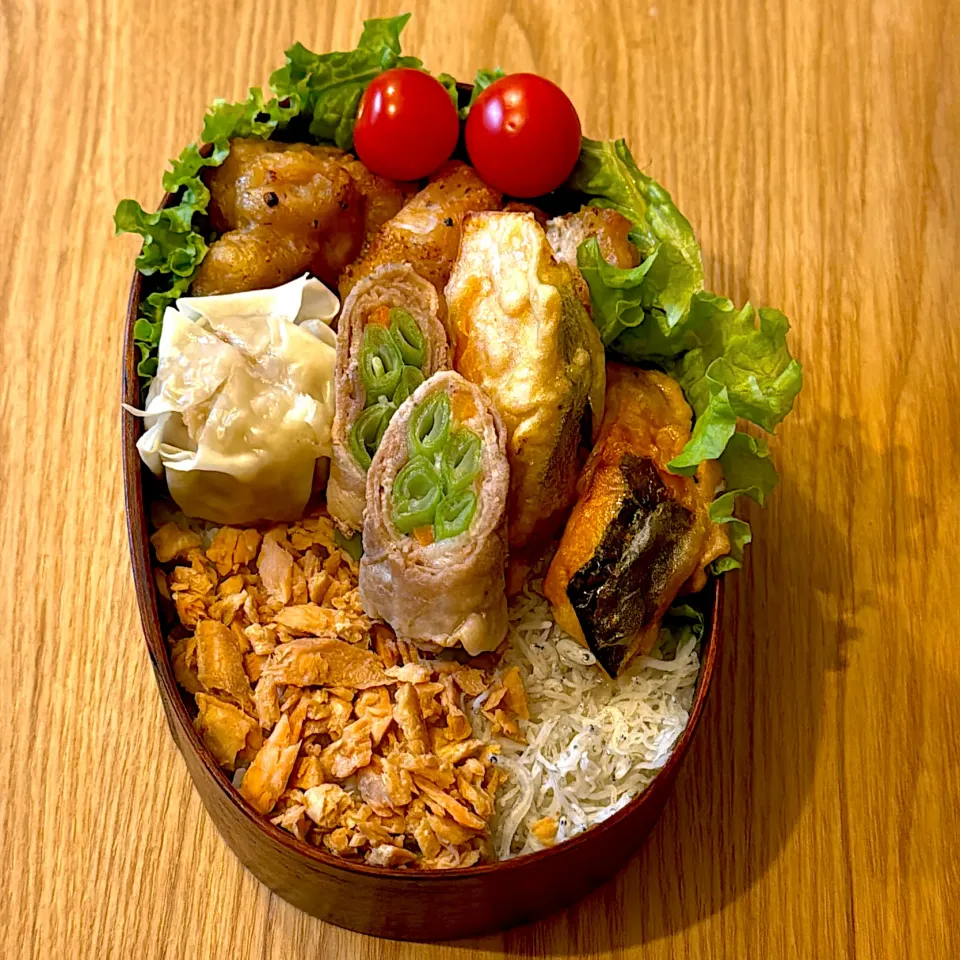 色々のっけ弁当|Dandaddyさん