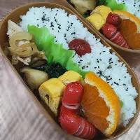 2025.11.20 #108|akiko.sさん