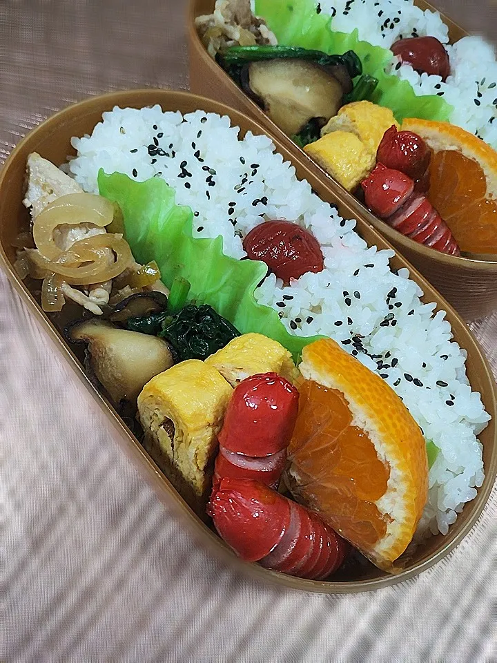 2025.11.20 #108|akiko.sさん