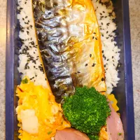 さばフィレ、合鴨スモークブロッコリー、イカ明太クリームペンネ、ごま塩弁当11/20|まりっぺ2025さん