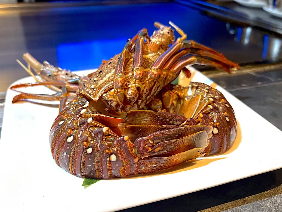 ④11月19日・［鉄板焼き🍖］・焼き前の伊勢エビ🦞✨|山勝さん