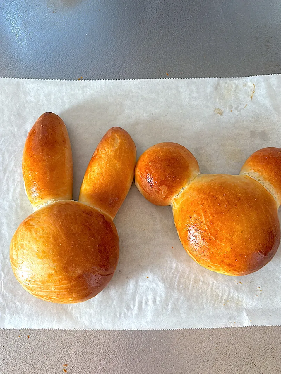 うさぎとくまのパンのつもりがぁ〜🐇🐻|loveままさん