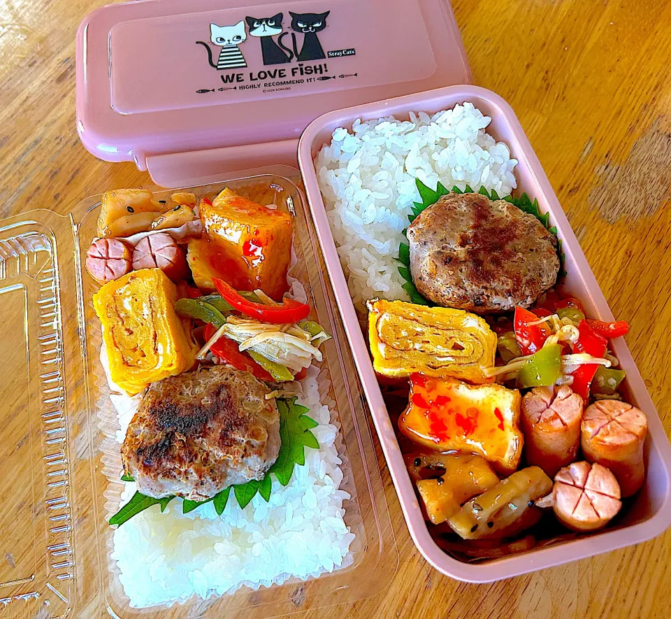 今日のお弁当|Daikiさん