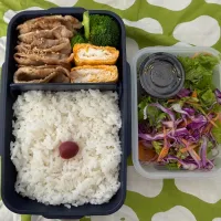 日の丸焼き豚弁当|ヒグッチさん