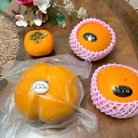 大豊柿と大天柿|ショコラさん