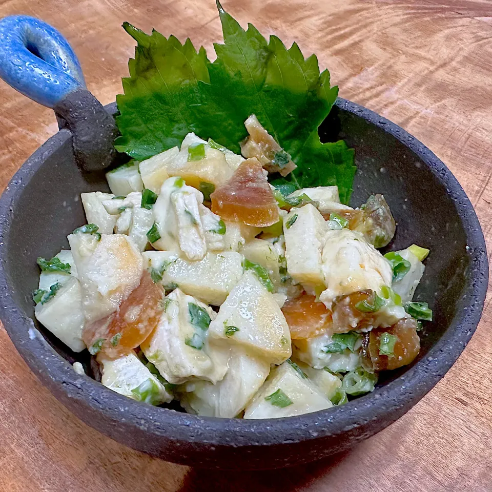 奈良漬サラダ|くまちゃんさん