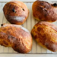 乳清入りのサワードウパン| sjさん