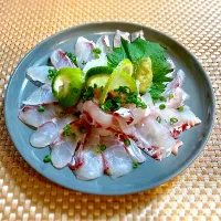 黒鯛の刺身|なか★やまさん