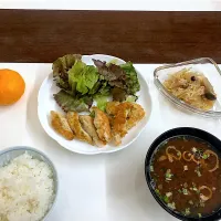 晩ごはん|SARAさん