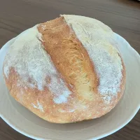 カンパーニュ(田舎パン)|はちみつポルコさん