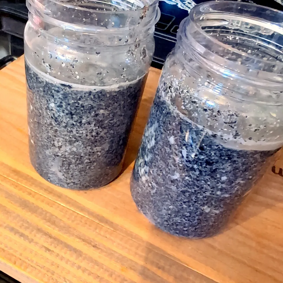 美味しくなあれ〜　発酵黒胡麻＼(^o^)／|チョコさん