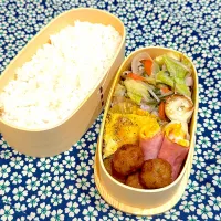 2025.11.21(金)⚾️肉野菜炒め弁当|ぽんちゃんさん