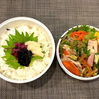 高校生息子のお弁当🍱 牛皿弁当🍱| Snow10さん