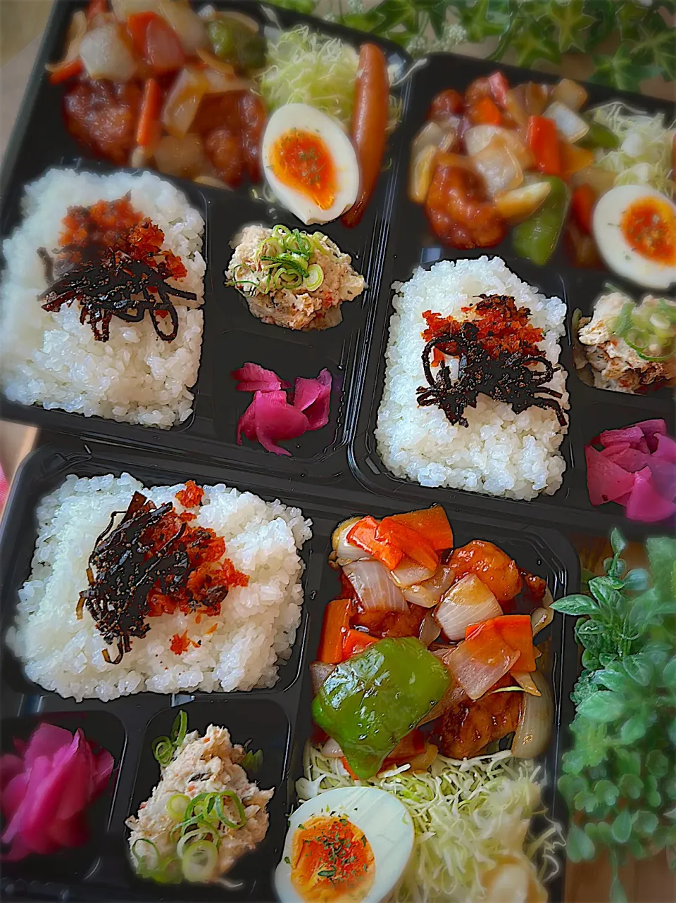 今日のお弁当|みゆき𐤔(◍´͈ ᵕ `͈ ◍)𐤔さん