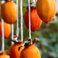 干し柿作り| tamiさん