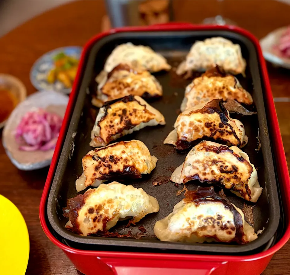 晩ごはん♯餃子🥟♯ブルーノ♯ホットプレート|小松菜さん