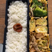 インフルエンザでもお弁当作らせていただきます| みどりさん