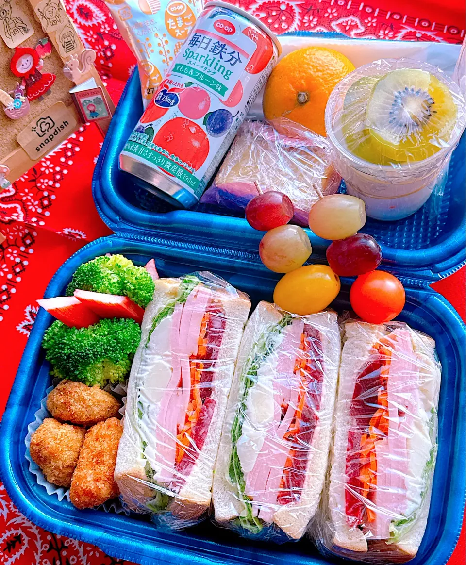 2025/11/22(土) サンドイッチ弁当|Blueberry🫐さん